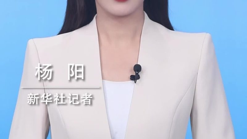 机器学习平台功能定制开发：揭秘定制化背后的关键因素