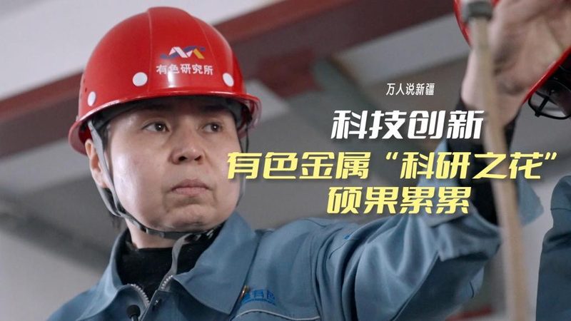 科技服务外包行业分类：揭秘企业数字化转型的得力助手